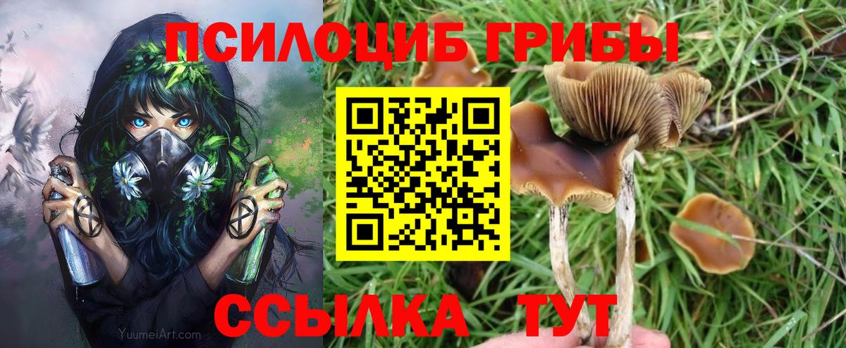 закладка  Псилоцибиновые грибы GOLDEN TEACHER  Вход с VPN  Углич 